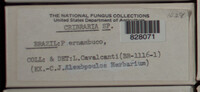 Image Associated With the Occurence